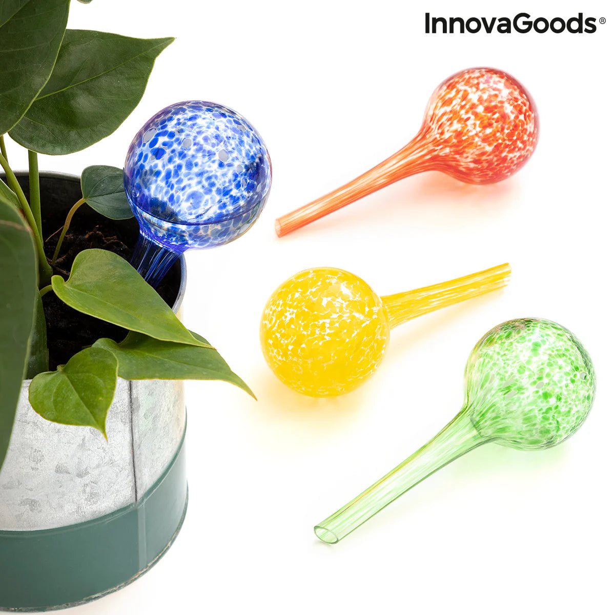 Automatic Watering Globes Ballwooters - 4 Units