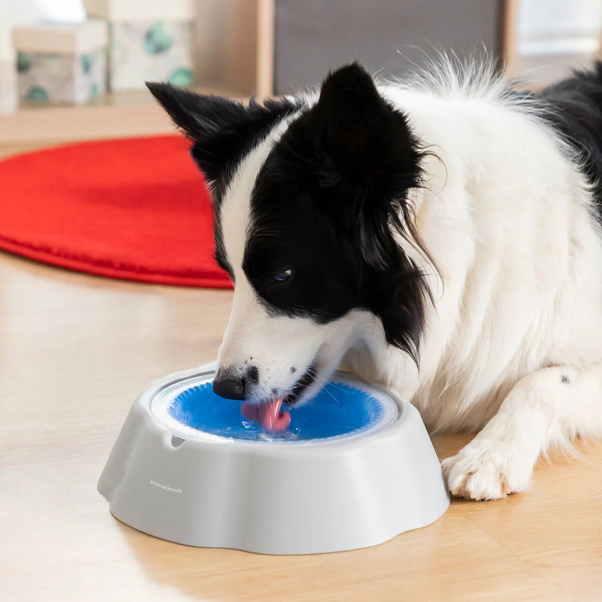 Cooling Pet Water Bowl