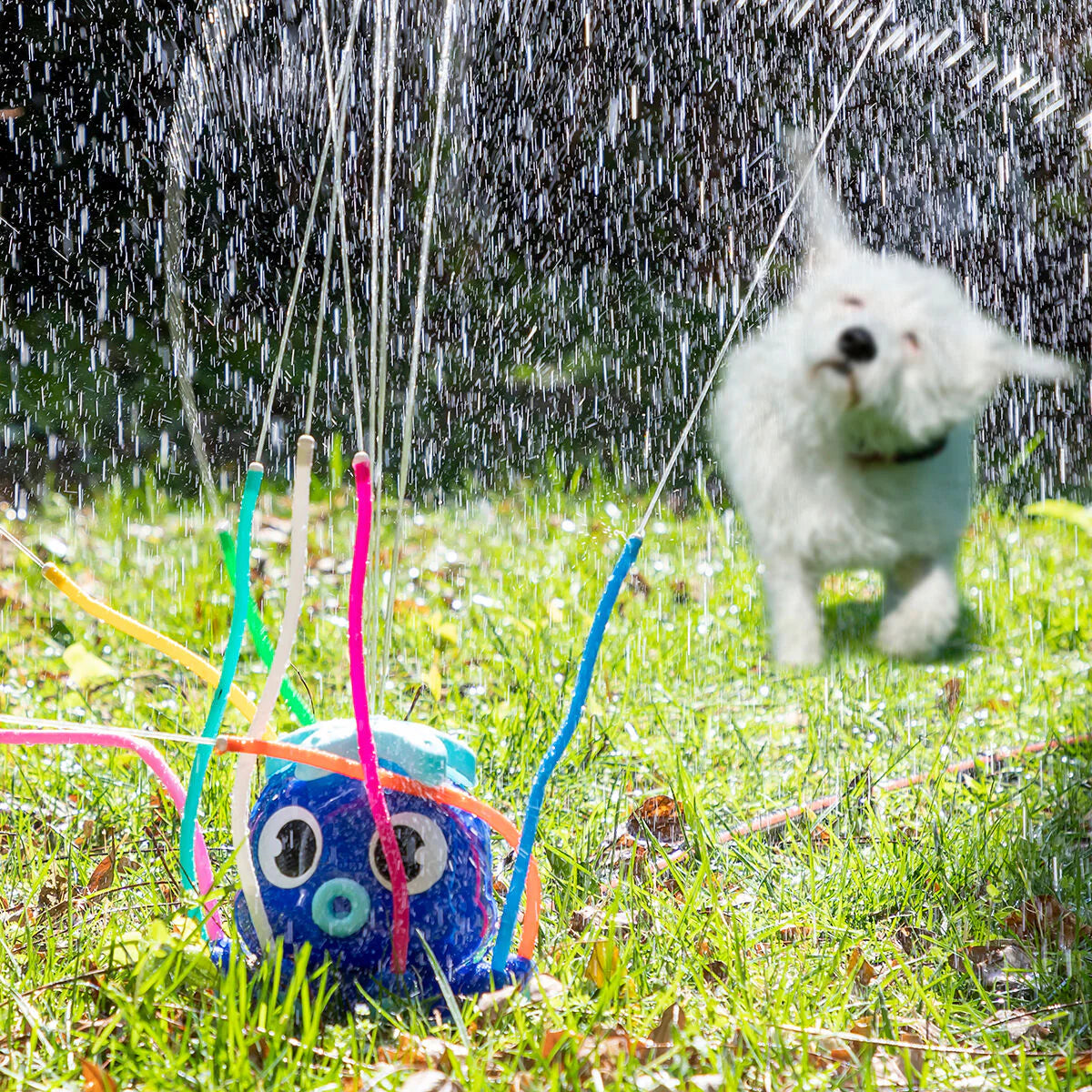 Water Sprinkler and Sprayer Toy Octodrop