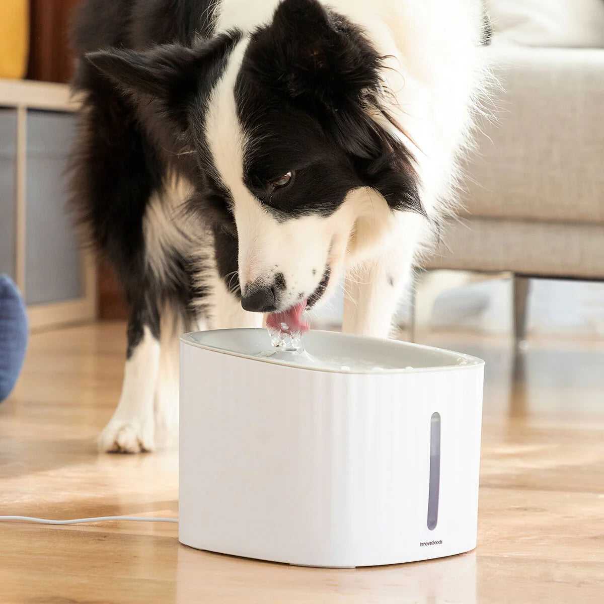 Pet Water Fountain
