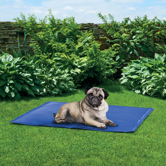Pet Cooling Mat - Medium