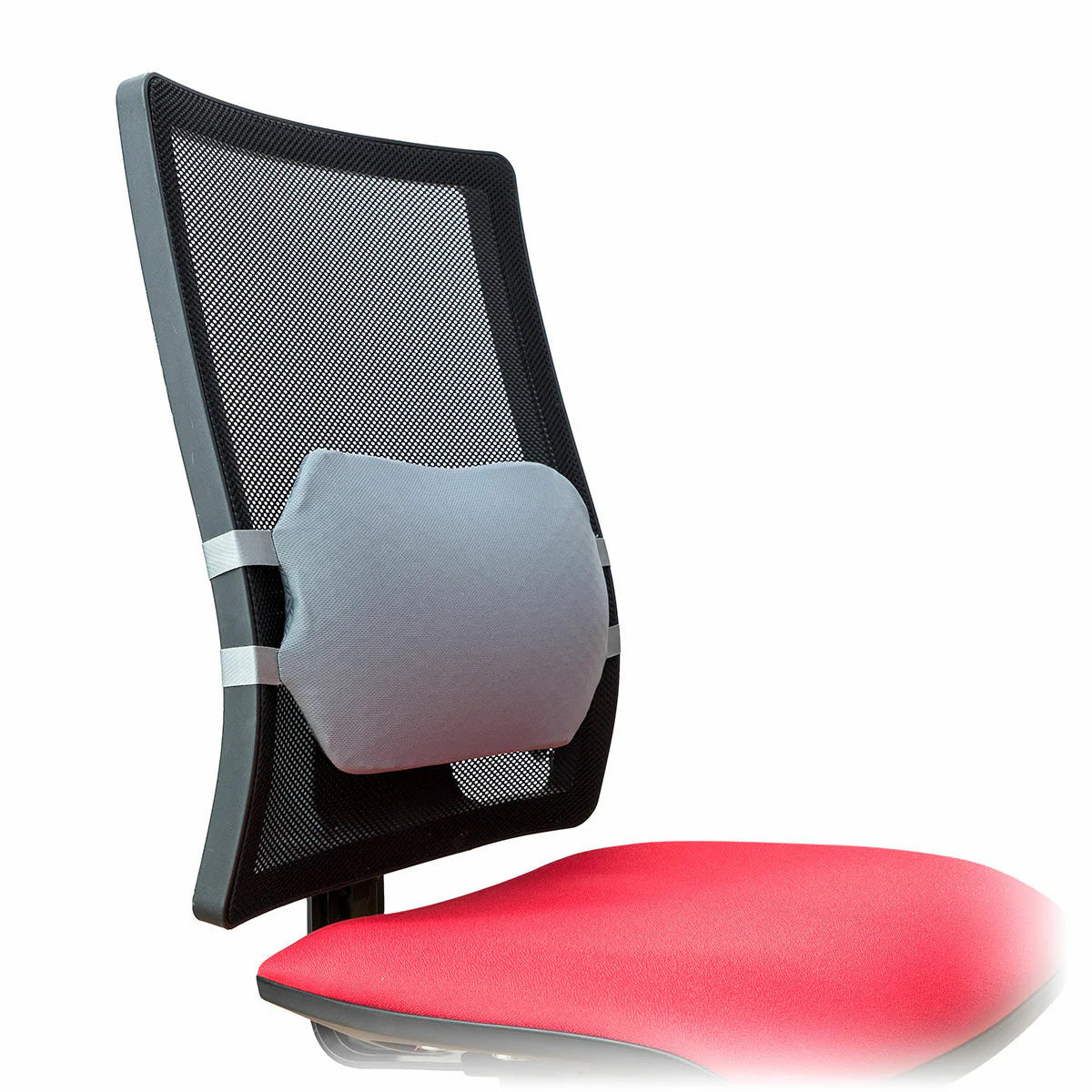 Gel Lumbar Cushion with Removable Cover Glushion