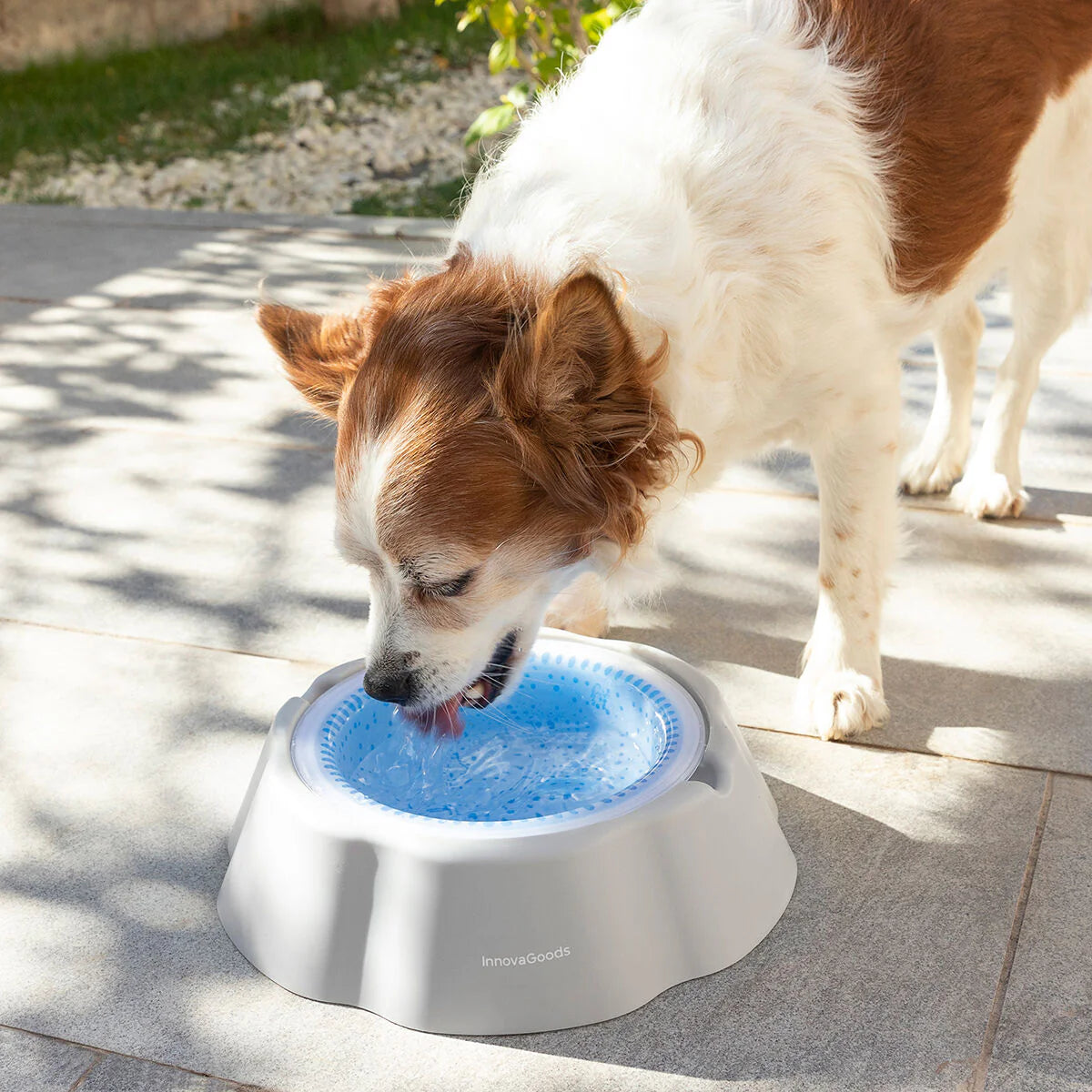 Cooling Pet Water Bowl