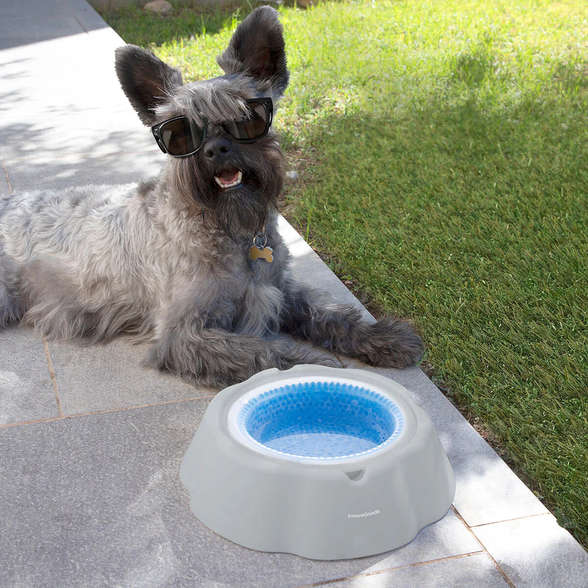 Cooling Pet Water Bowl