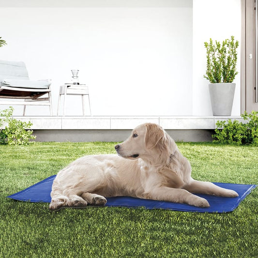 Pet Cooling Mat - Large