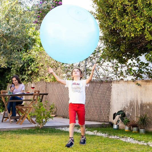 Giant Inflatable Bubble Ball
